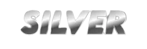 Silver Icon